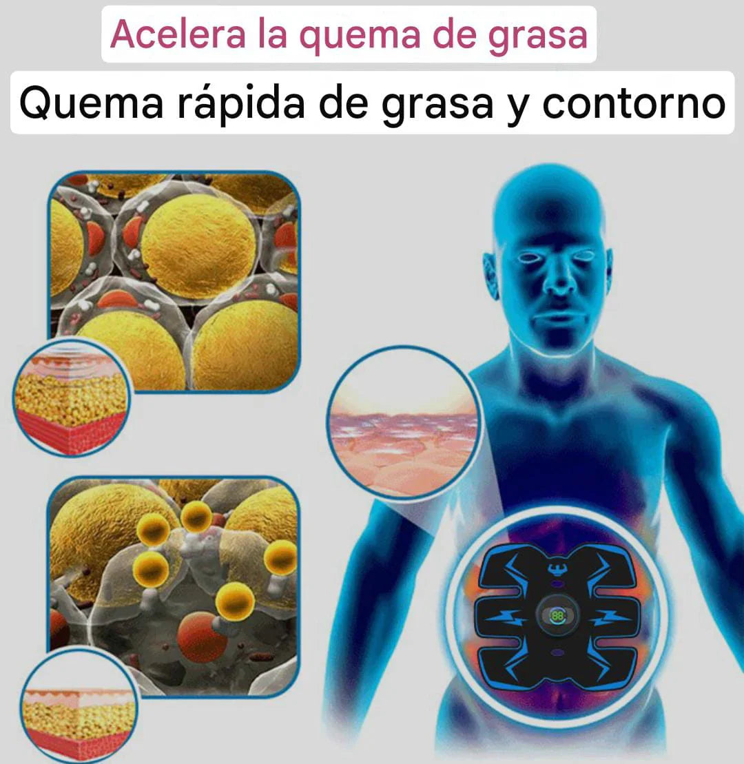 Tonificador de Músculos de Abdomen y Reductor de Grasa 3 EN 1 + Regalo 🎁